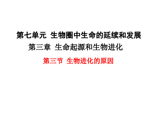 人教版部编版八年级生物下册第三节《生物进化的原因》精品ppt课件