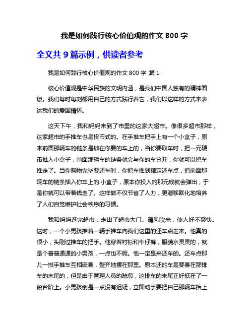 我是如何践行核心价值观的作文800字