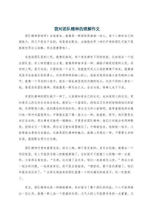 我对团队精神的理解作文