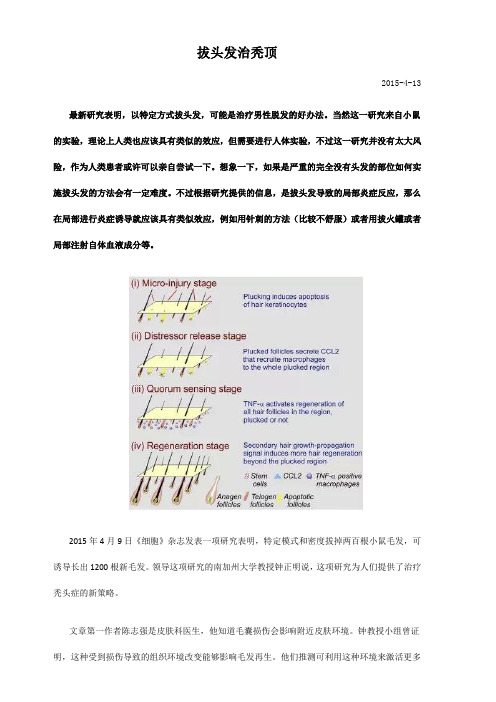 拔头发治秃顶