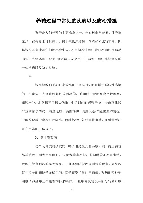 养鸭过程中常见的疾病以及防治措施