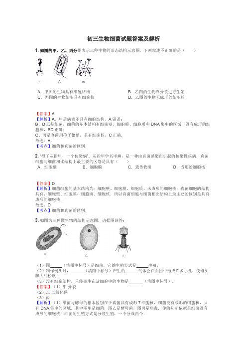 初三生物细菌试题答案及解析
