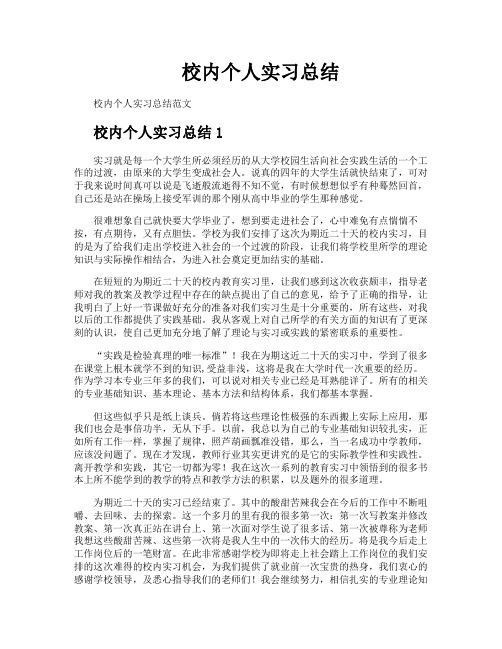 校内个人实习总结