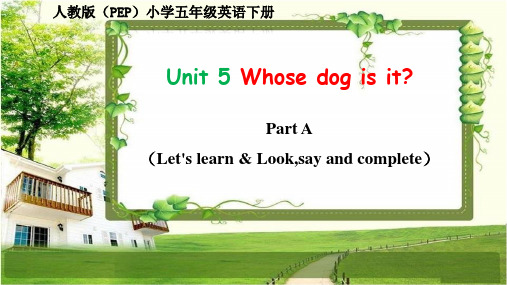 人教版(PEP)五年级英语下册Unit 5《Whose dog is it》课件