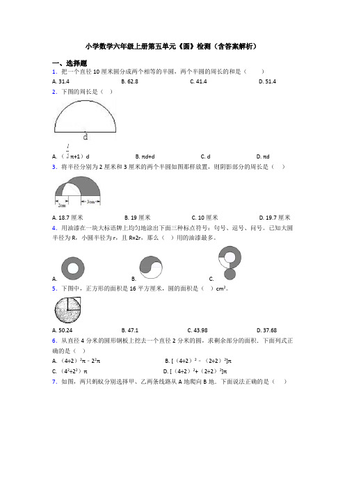 小学数学六年级上册第五单元《圆》检测(含答案解析)