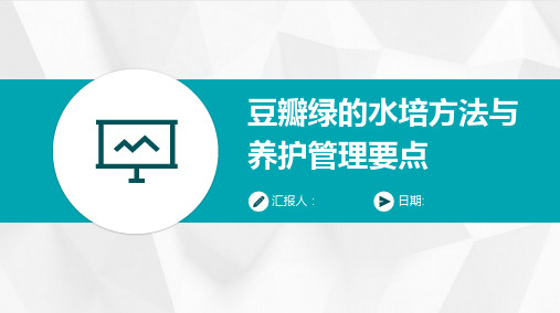 豆瓣绿的水培方法与养护管理要点