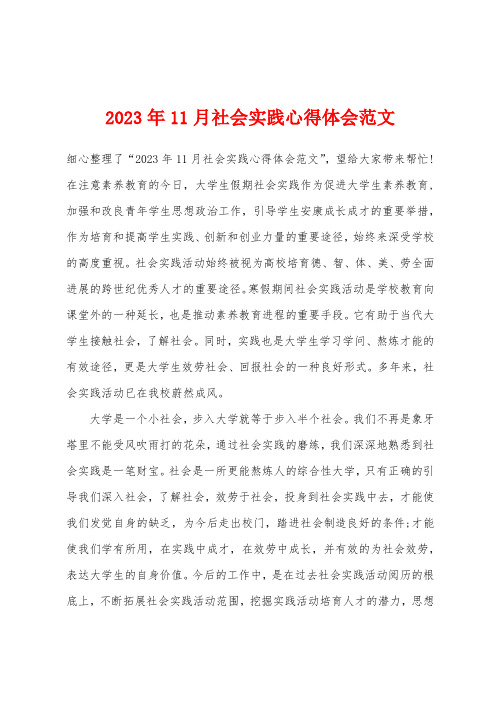 2023年11月社会实践心得体会范文