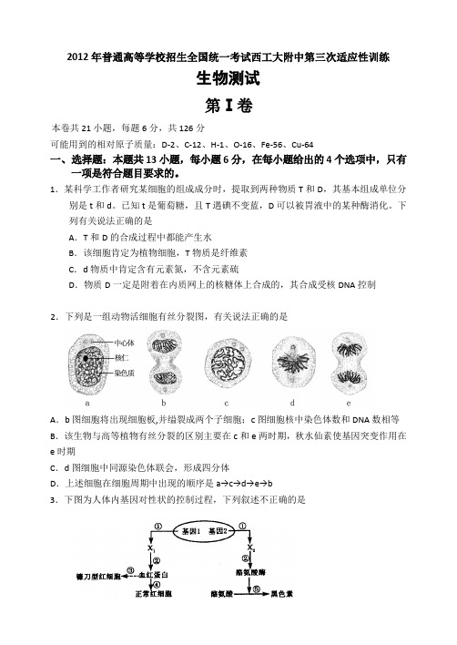 陕西省西工大附中2012届高三第三次适应性训练生物试题