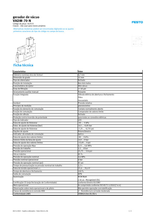 Festo VADM-70-N 高压型高效空气泵说明书