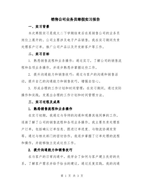 销售公司业务员寒假实习报告