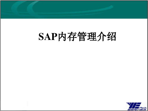 SAP内存管理