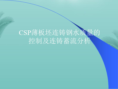 CSP薄板坯连铸钢水质量的控制及连铸蓄流分析(“水口”相关文档)共58张