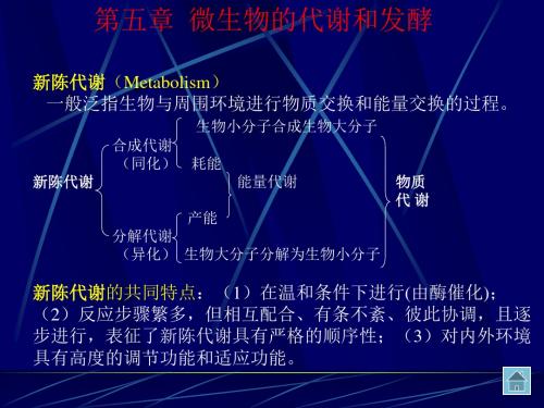 第六章   微生物的新陈代谢