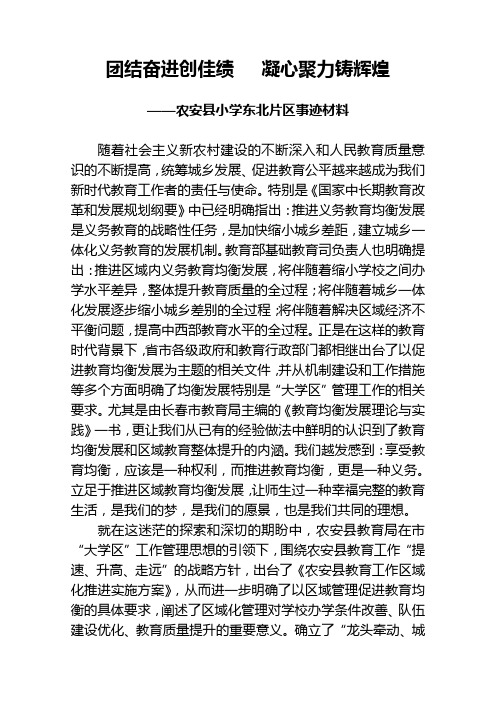 团结奋进创佳绩   凝心聚力铸辉煌(片区工作事迹材料)