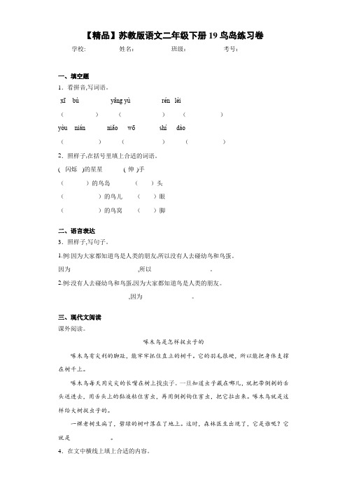 小学语文二年级下册19鸟岛练习卷(含答案解析)