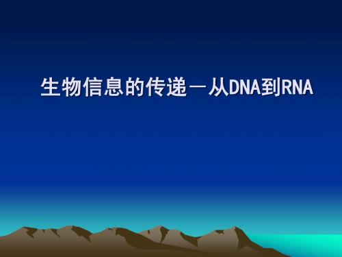 第七章 RNA转录