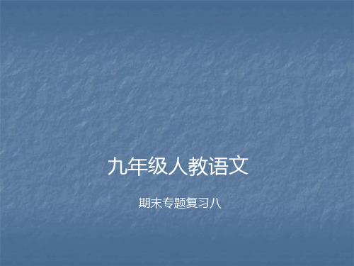 人教部编版九年级语文上册期末专题复习八 现代文阅读