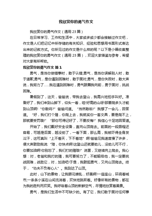 我欣赏你的勇气作文（通用23篇）