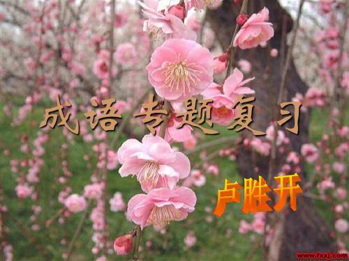 2012年成语5