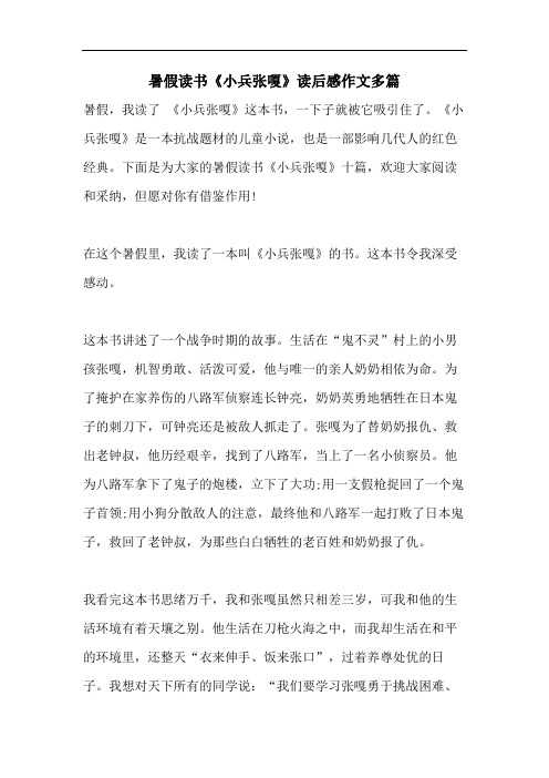 暑假读书《小兵张嗄》读后感作文多篇