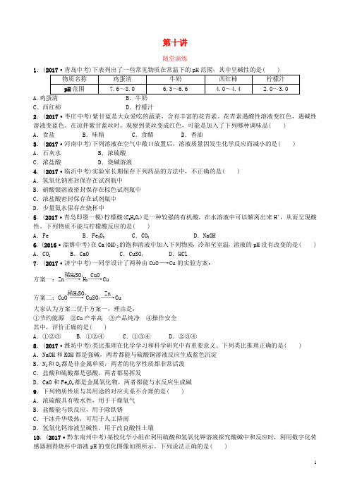 中考化学复习第十讲随堂演练练习