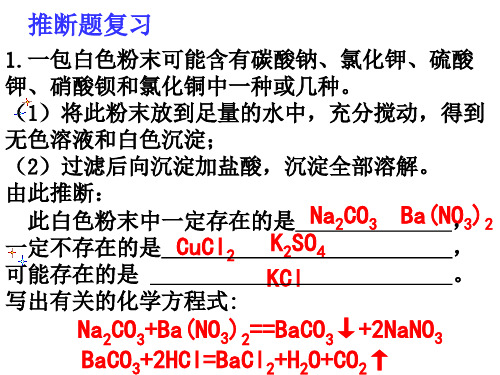 物质推断离子共存复习