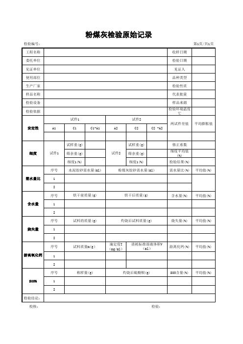 粉煤灰检验原始记录