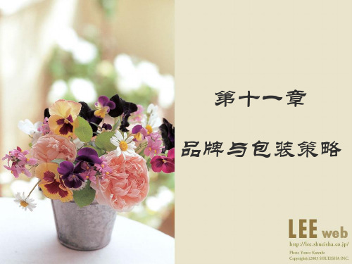 品牌与包装策略