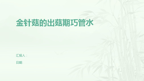 金针菇的出菇期巧管水