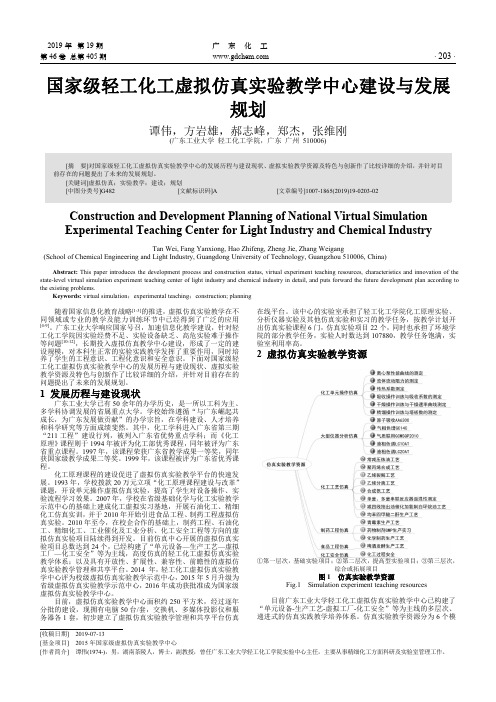 国家级轻工化工虚拟仿真实验教学中心建设与发展规划