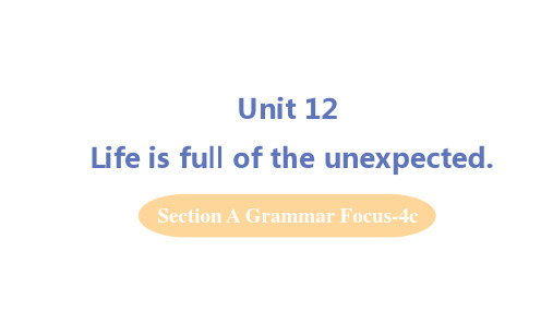人教版九年级英语全一册第12单元 Section A Grammar Focus-4b教学课件