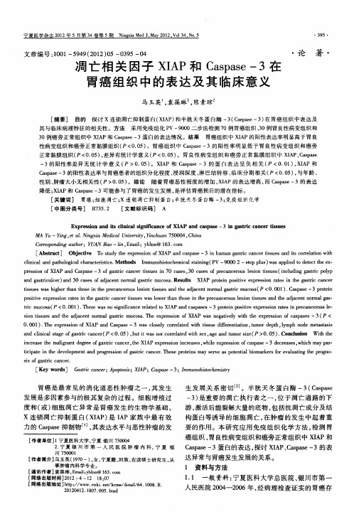 凋亡相关因子XIAP和Caspase-3在胃癌组织中的表达及其临床意义