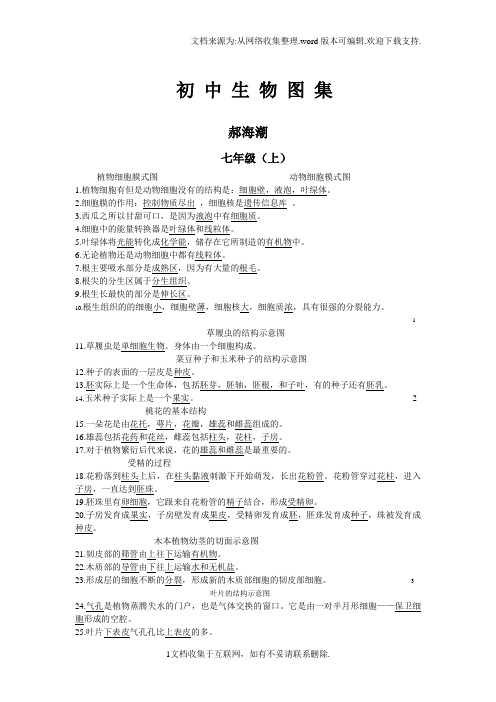 生地会考复习资料:初中生物图集
