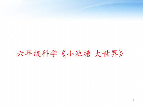 六年级科学《小池塘 大世界》 ppt课件