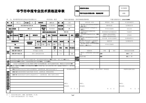 申报专业技术资格送审表