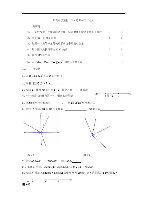 华育中学预初(下)诊断练习(七)