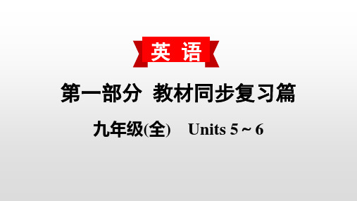 人教版中考初三九年级复习ppt课件(5-6单元)(2)