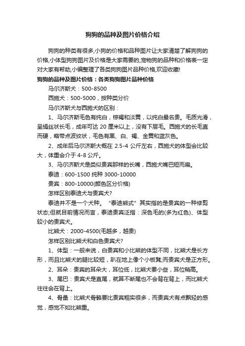 狗狗的品种及图片价格介绍