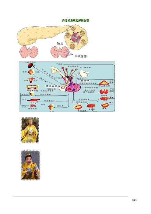 护士资格考试自学张老师精讲第十五章内分泌系统的解剖生理