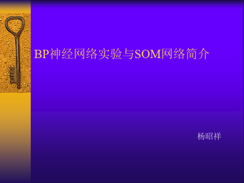 BP神经网络分析和SOM网络简介