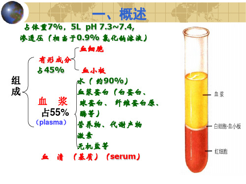 组织学与胚胎学第4章血液1课件