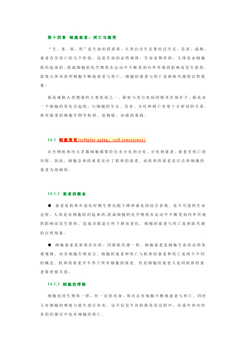 14细胞衰老、死亡与癌变.