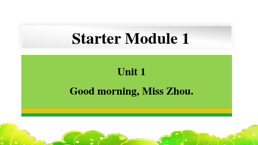 Starter+Module+1+Unit+1 外研版七年级英语上册