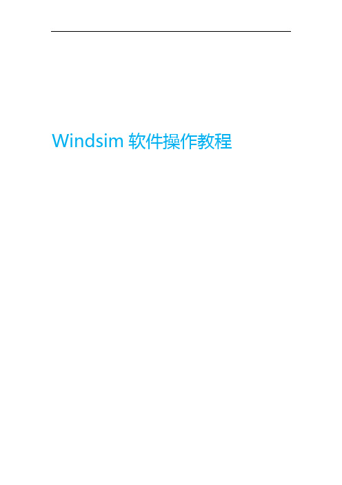 Windsim软件操作教程