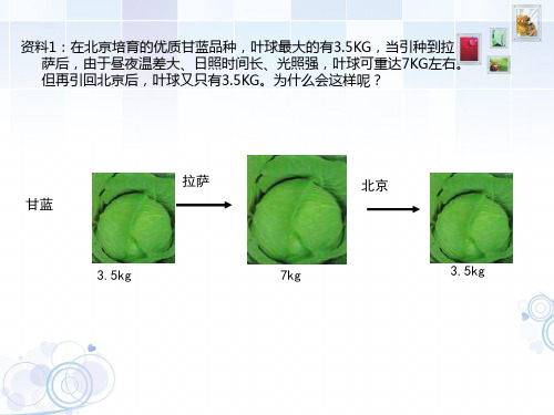 变异与诱变育种