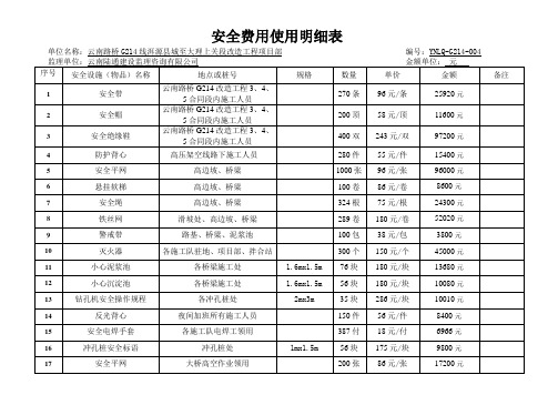 安全费用使用明细表