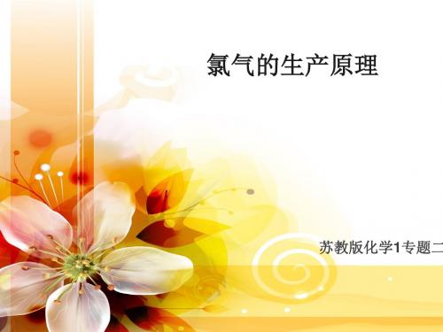 化学课件《氯气的生产原理》优秀ppt9人教课标版1
