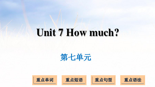 译林版(三起)四年级上册英语Unit 7 How much (共13张PPT)