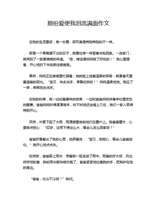 那份爱使我泪流满面作文