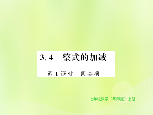 七年级数学上册 第3章 整式的加减 3.4 整式的加减 第1课时 同类项习题课件 (新版)华东师大版